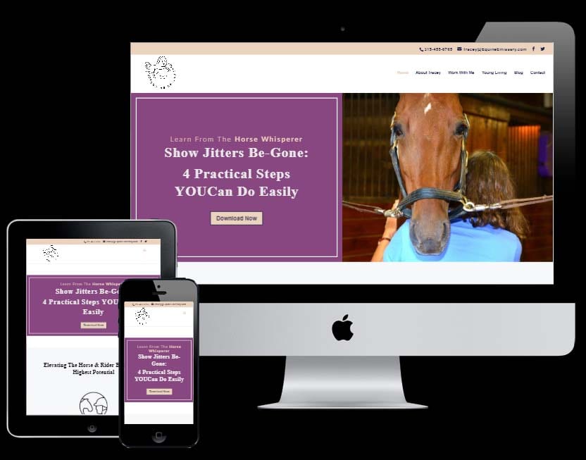 Equine Emissary